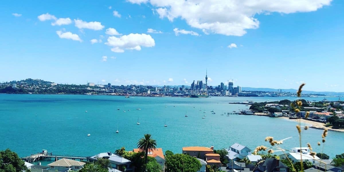 House Sitting Auckland