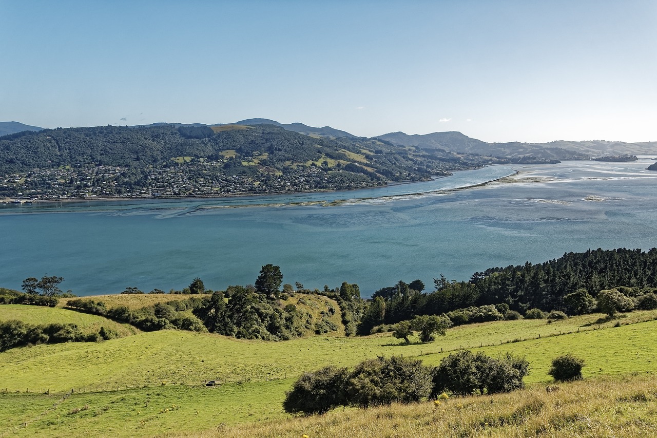 House Sitting Otago