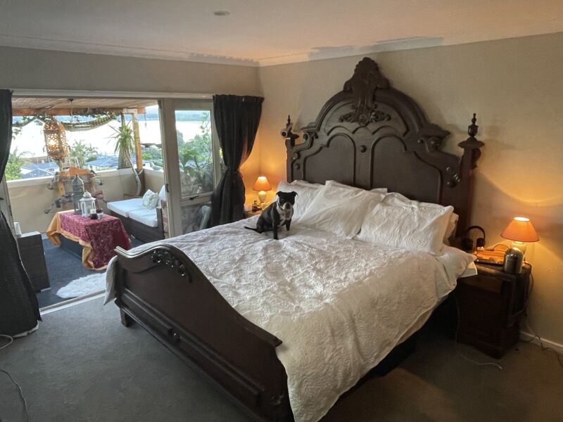 Coastal home overlooking Beach House Sitting Ōmokoroa Bay of Plenty