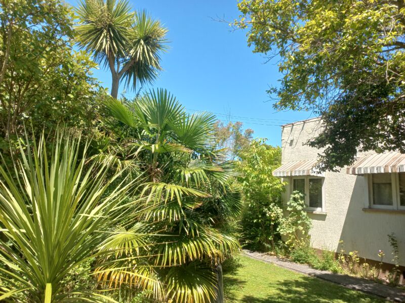 Seeking house sitter for a two bedroom, original deco period home in